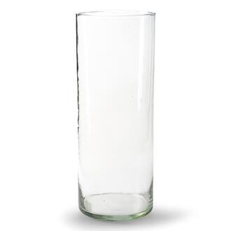 Glas Zylindervase Sari/Arsenal