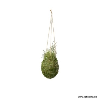 Gras Übertopf Natura/Pot