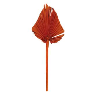 Palmspear