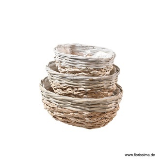 Schilfgras Schale Weiderand