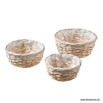 Schilfgras Schale Weiderand