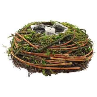 Vine Planter Rondo/Moss Mix