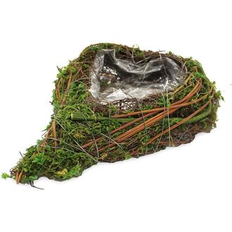 Vine Planting Heart Moss Mix