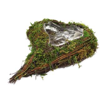 Vine Planting Heart Moss Mix