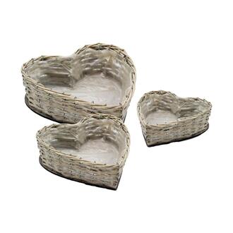Willow Plant Heart Global