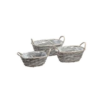 Willow Plant Jardiniere Trend