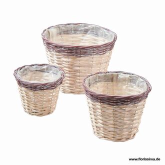 Weide Übertopf Brügge/Farbrand