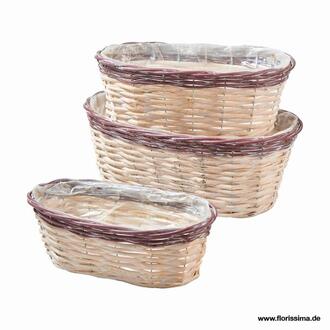 Weide Pflanzjardiniere