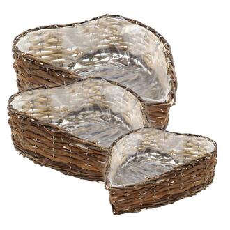 Weide Pflanzherz Nova