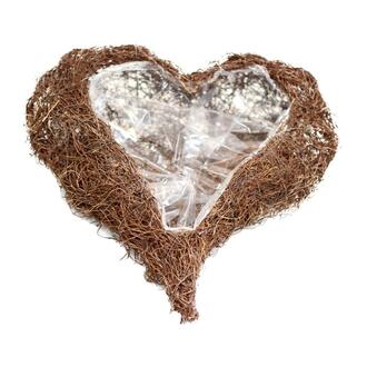 Vine Plant Heart Elba