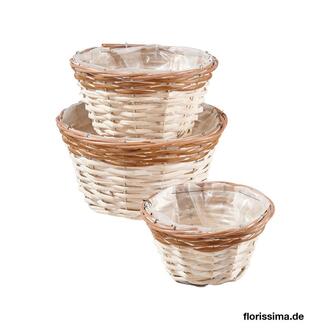 Weide Pflanzschale Genf