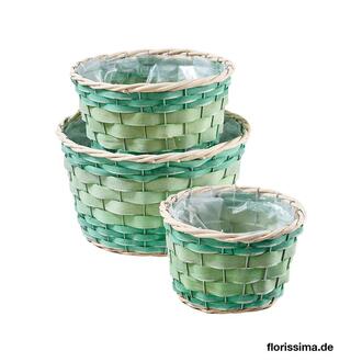 Weide Pflanzschale Arts