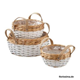 Willow Planter Hyacinth