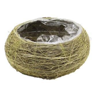 Gras Pflanzschale Straw