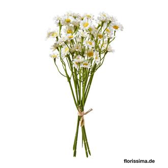 Bouquet de Camomille en Plastique « Daisy » X6 L=27 Cm Blanc