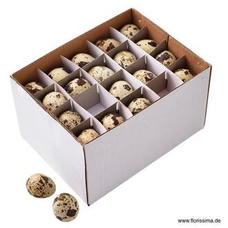 Quail Egg