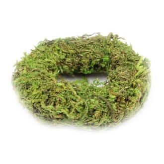 Couronne de Mousse "Flori" H=3 Cm P=12 Cm Verte