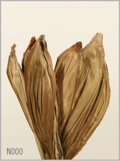 Feuille de Noix d'Acacia Naturelle