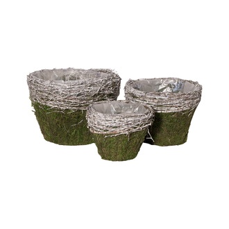 Moos Übertopf "Planter" mit Folie un Weiderand S/3 H=10/12/14 cm  D=11/15/19 cm  