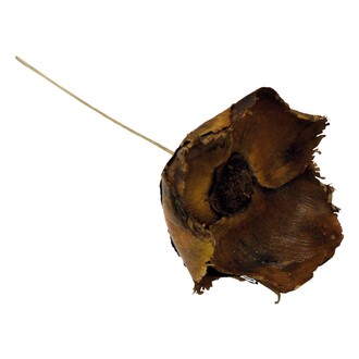 Palm Cup am Stiel L=40 cm natur