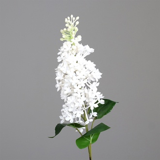 Kunststoff Flieder Claude