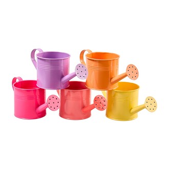 Metall Gießkanne Global