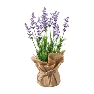 Plastic Lavender Prios