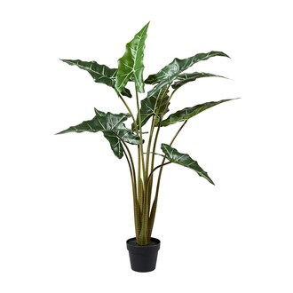 Plastic Alocasia Green
