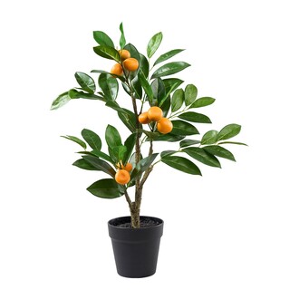 Kunststoff Orangenbaum Navel