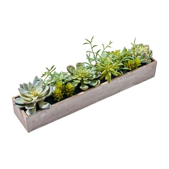 Kunststoff Sukkulente Ocean