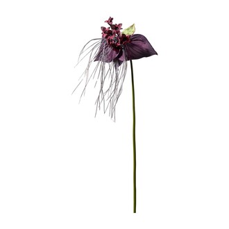 Kunststoff Taccablütenzweig Fledermaus