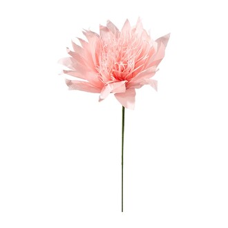 Papier Blume Wild