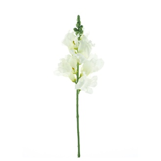 Snapdragon Majus en Plastique