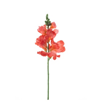 Snapdragon Majus en Plastique