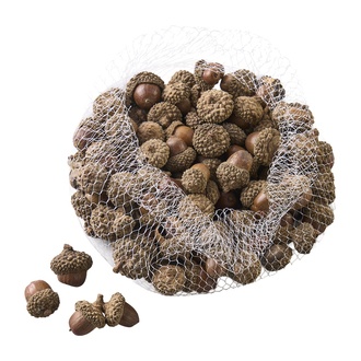 Eichel 300 g natur 