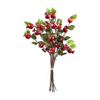 plastic rosehip bunch Estelle