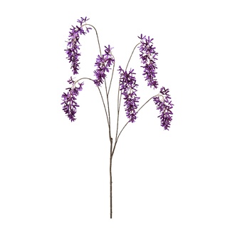 plastique branche de glycine Altona