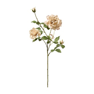 Kunststoff Rosenzweig Teerose/Kent 