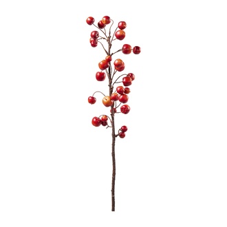 Kunststoff Apfelzweig Apple