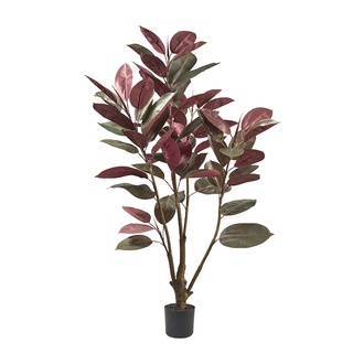 Kunststoff Gummibaum Ficus  