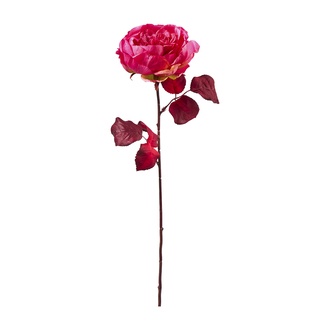 Kunststoff Rose Beauty 