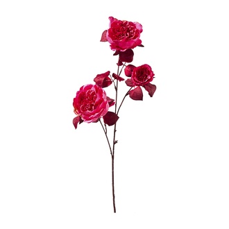 Kunststoff Rose Beauty  