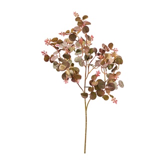 plastique branche d'eucalyptus Automne