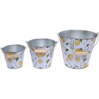 Zink Eimer Lemon Tree