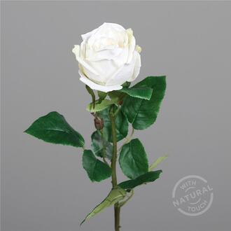 Rose en Plastique Natural Touch