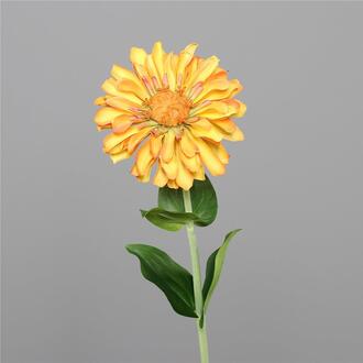 Kunststoff Zinnie Magda