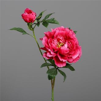 Pivoine en Plastique au Quotidien