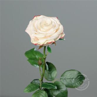Rêveur de Roses en Plastique