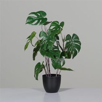 Kunststoff Monstera Dieck