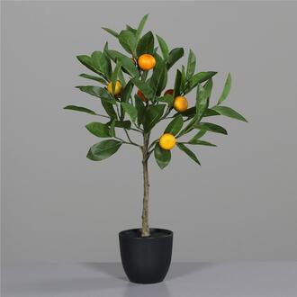 Kunststoff Mandarinenbaum Toskana